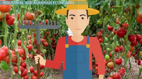 Agrarian Economy | Overview, History & Characteristics - Lesson | Study.com