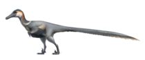 Alxasaurus - Wikipedia