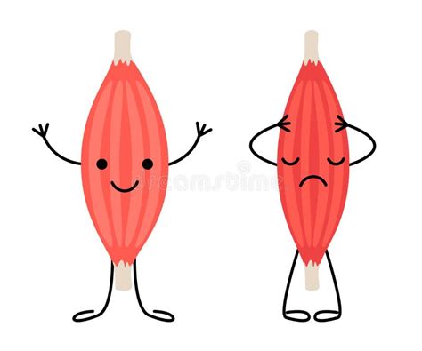 Skeletal Muscle Cartoon Stock Illustrations – 334 Skeletal Muscle ...