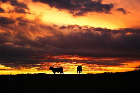 Alberta Sunset - Canada Photo (55825) - Fanpop