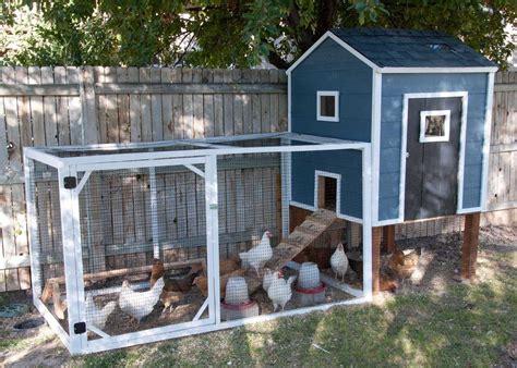 Chicken coop for 10-20 chickens: dimensions, drawings, materials ...