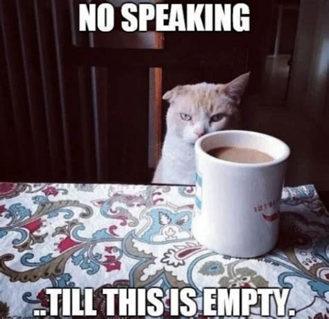 100 (MORE) Funny Coffee Memes To Add A Little Jolt To Your Day