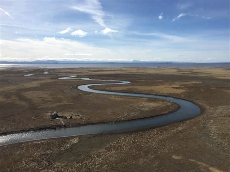 A Bird's Eye View of Malheur Refuge - Friends of Malheur NWR