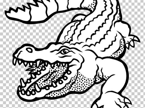 Alligator Crocodile Drawing PNG, Clipart, Amphibian, Animals, Art, Artwork, Beak Free PNG Download