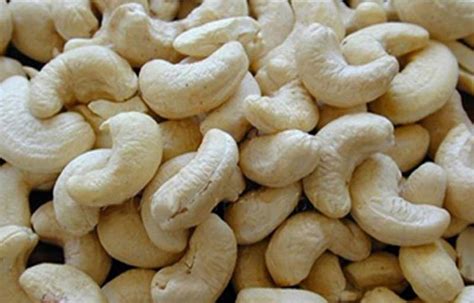 Cashew Kernels by Indocom Traders, Cashew Kernels from Delhi Delhi ...