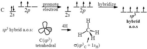 organic chemistry - Why does a substance such as methane have 4 sp3 orbitals rather than 3 ...