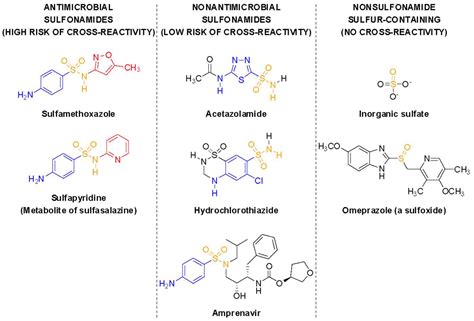 Is Nitrofurantoin A Sulfa Drug?