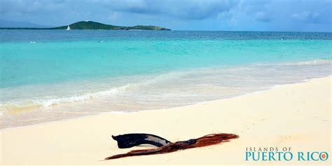 Cayo Icacos - Island in Puerto Rico - Don't Miss Dreamy Icacos Cay - 2022 | Puerto rico beaches ...