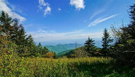 Appalachian Trail Smoky Mountains - Hiking in Tennessee