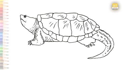 Alligator snapping turtle drawing easy | How to draw Alligator snapping turtle step by step ...