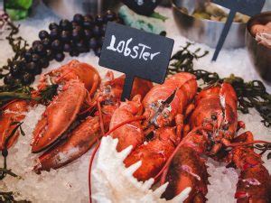 When is Lobster Season in Maine? Trip Plan With These Tips