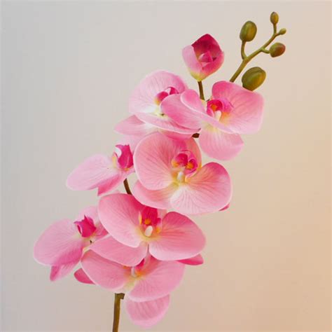 Real Touch Artificial Phalaenopsis Orchid Pink 99cm | Artificial Flowers