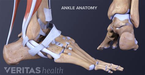 Ankle Osteoarthritis Symptoms