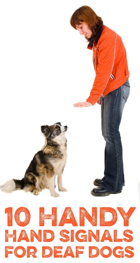 10 Handy hand signals for deaf dogs! | Dogs Are My Favorite People ...