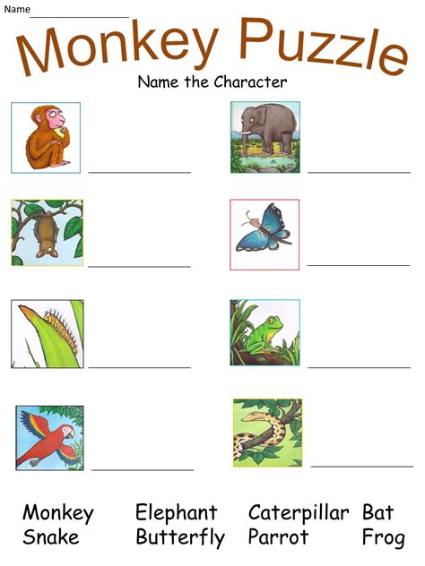 Mash > Julia Donaldson > Monkey Puzzle - Lesson pack