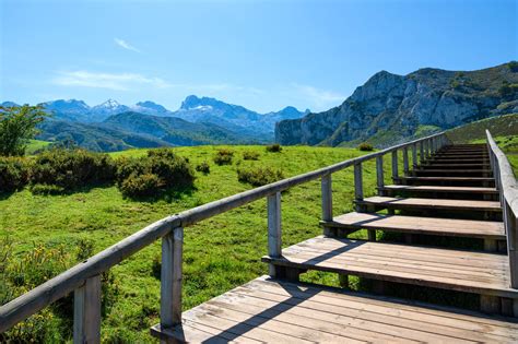 10 Best National Parks in Spain - Discover Spain's Most Breathtaking Landscapes – Go Guides