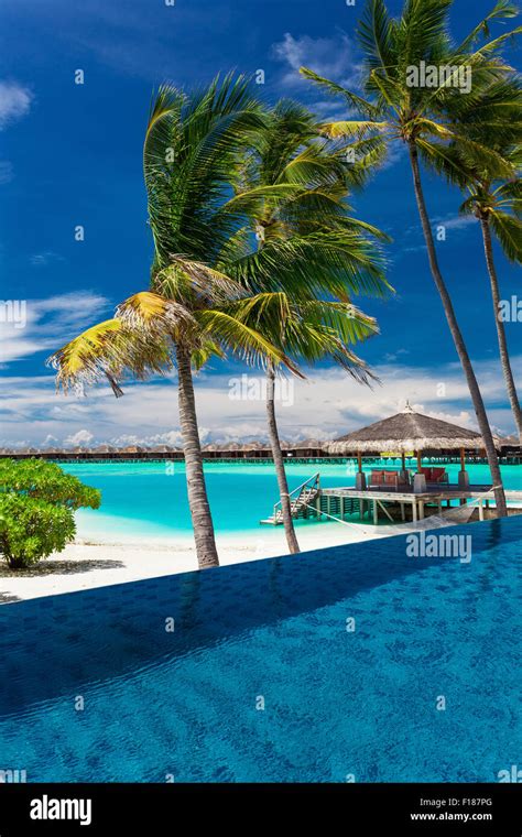 Infinity pool with exotic palm trees over blue lagoon in Maldives Stock Photo - Alamy