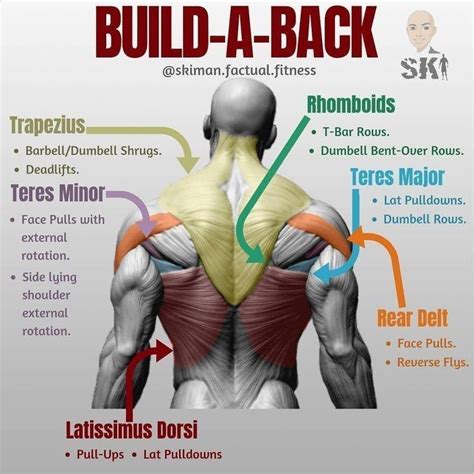 good deadlift workout #deadliftsetsandreps | Dumbbell workout plan, Dumbbell workout, Workout plan