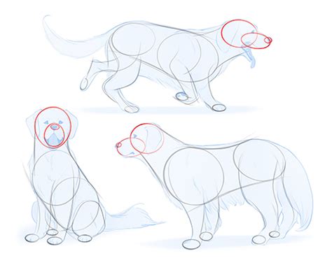 How To Draw A Dog From The Side / If your kids are into cartooning they will love this one for sure.