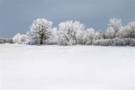 Which States Are in the Frost Belt? - WorldAtlas