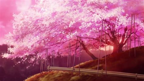 Sakura in Hyouka | Anime flower, Anime scenery, Flower backgrounds