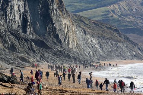 Jurassic Cliffs in Dorset packed after fossil worth £15,000 is found | Jurassic coast, England ...