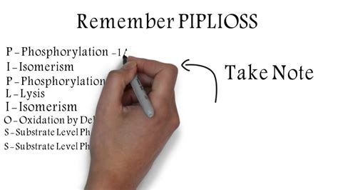 Glycolysis Metabolic Pathway Mnemonic - YouTube