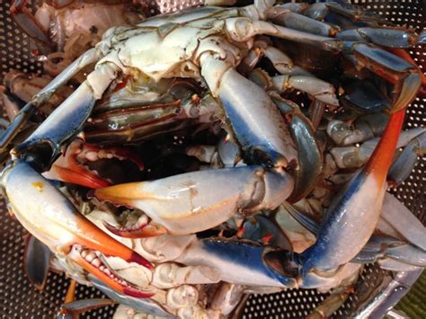 A Louisiana Recipe: Seafood gumbo with crawfish, shrimp and crab