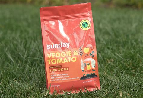 9 Amazing Organic Tomato Fertilizer for 2024 | Storables