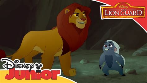 The Lion Guard | Simba and Bunga Get Lost | Official Disney Channel ...