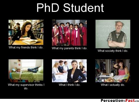 How Accurate are Ph.D. Memes, Really? - My Dissertation Editor