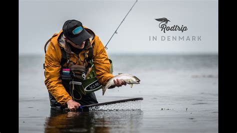 Sea trout fly fishing in Denmark with Rodtrip - YouTube