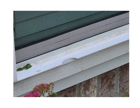 Everything You Need to Know About Hail Damage to Windows