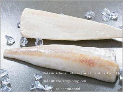 FROZEN ALASKA POLLOCK FILLETS - Dalian Yuheng Trading Co.,Ltd - ecplaza.net