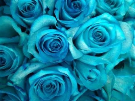 How To Make Blue, Green and Purple Roses - YouTube