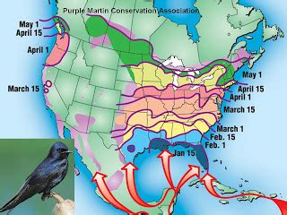 Baltimore Orioles Migration Map - Zip Code Map