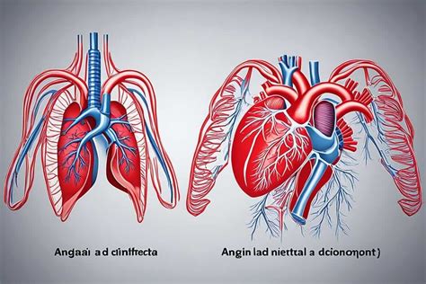 Angina vs. Heart Attack: Key Differences Explained