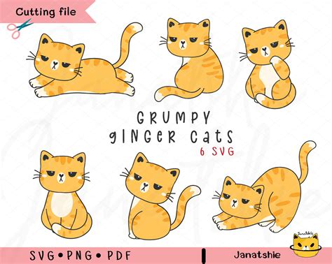 Ginger Cat Clipart