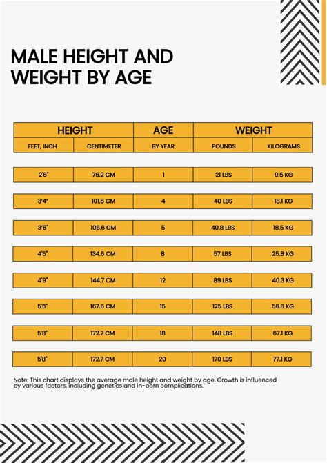 Human Height Conversion Table - Infoupdate.org