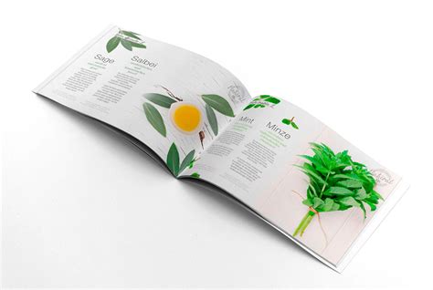 Packaging & Brochure Design on Behance