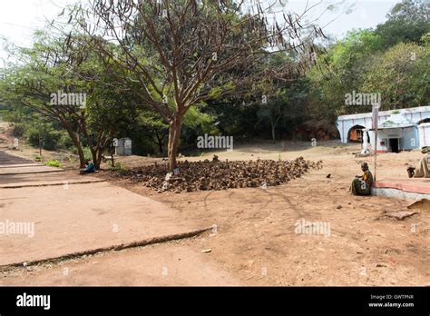 Anantha Padmanabha Swamy Temple at Ananthagiri Hills Stock Photo - Alamy