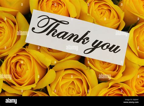 Thank you note with yellow roses bouquet Stock Photo - Alamy