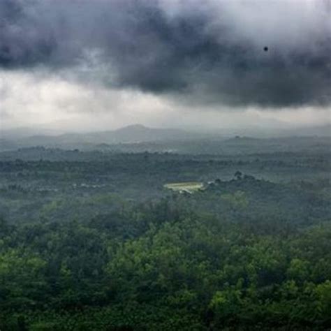 Stream Agumbe Rainforest, India by wild_rumpus | Listen online for free ...