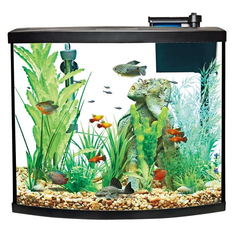 Top Fin® Bow Front Aquarium Starter Kit - 36 Gallon