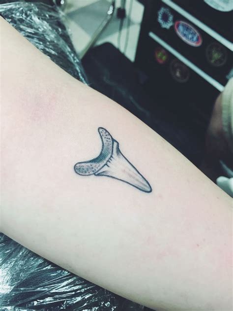 my shark tooth tattoo | Tooth tattoo, Shark tooth tattoo, Tattoos