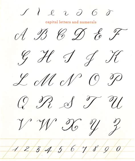 Calligraphy Alphabet : cursive calligraphy alphabet