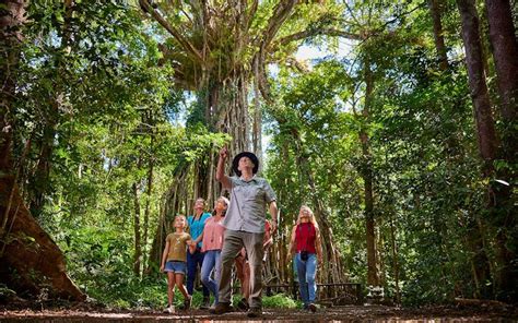 Cairns Rainforest Tour with Guide