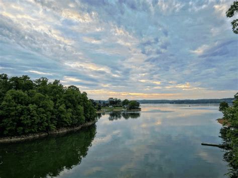 Ultimate Guide To Douglas Lake Fishing In The East Tennessee Smoky ...