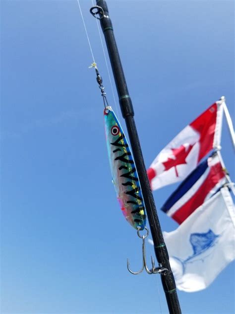 Trolling Lure - Salmon / Rainbow | Fishing trip, Outdoor decor, Trip