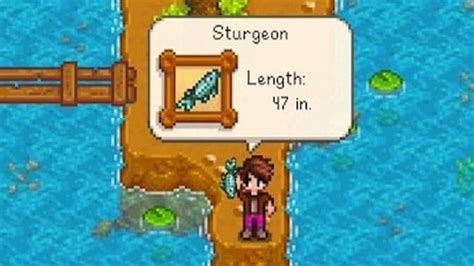 Stardew Valley Fish Pond TOP 5 BEST FISH - Bright Rock Media